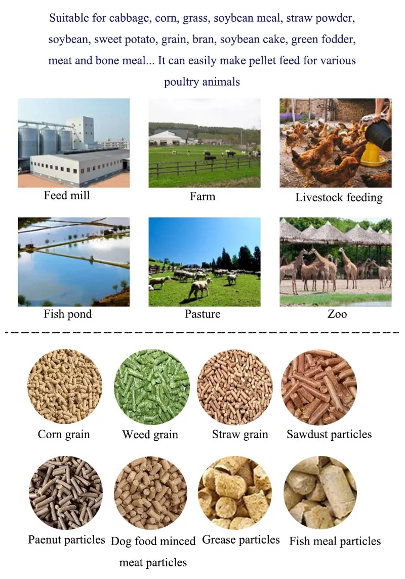 Poultry feed pellet making machine